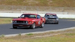 Mustangs old and older